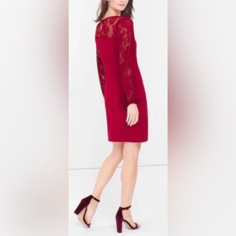 White House Black Market burgundy dress w/ pleated lace sleeves & neckline. S - Picture 2 of 14